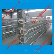 Automatic Poultry Layer Broiler Chicken Cage (H4L80)